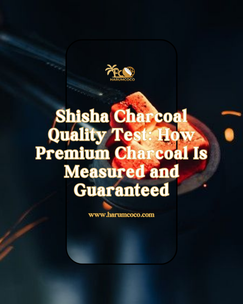 Charcoal Shisha